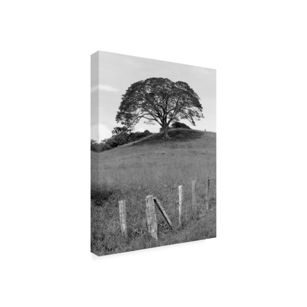 Monte Nagler 'Lone Tree And Fence Costa' Canvas Art,24x32